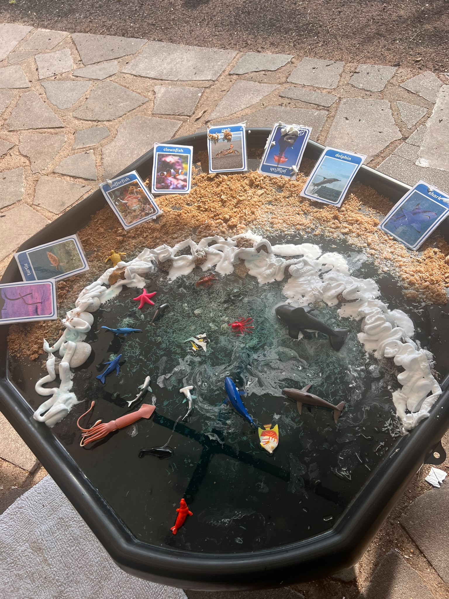 Outdoor Marine Habitat Sensory Learning