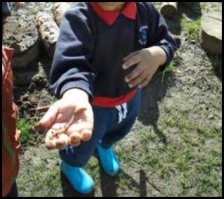 Child Holding Worm