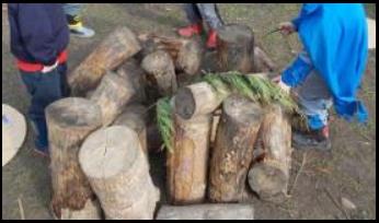 Children climbing logs