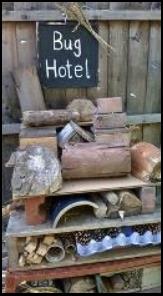 Bug Hotel shelf